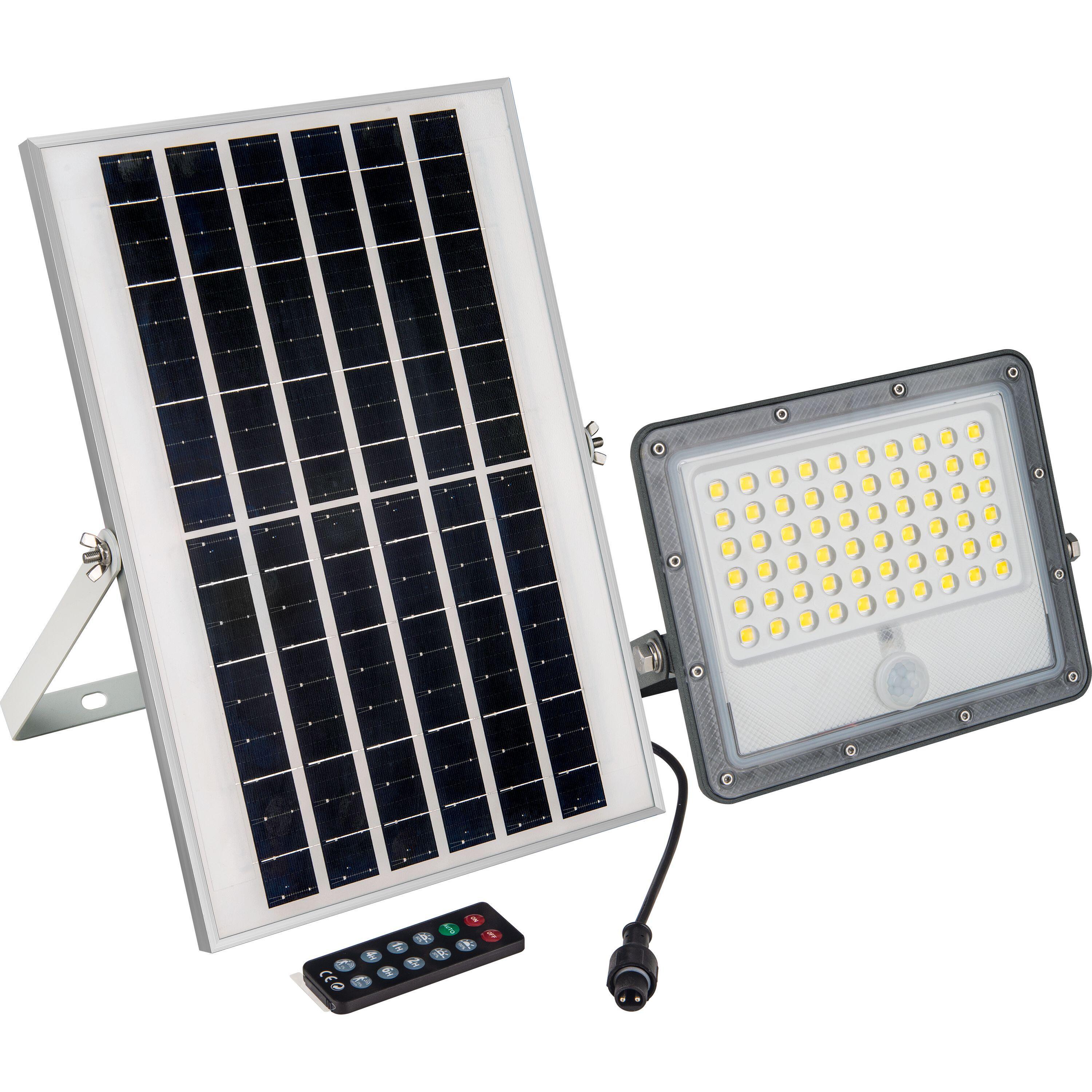 Neelux 100W Solar Flood Light Kenya